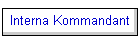 Interna Kommandant