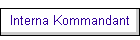 Interna Kommandant